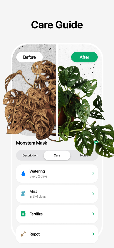 Plant Identifier - Leafora AI - A mobile app screenshot showing a plant care guide for a Monstera Mask with before and after photos and watering reminders
