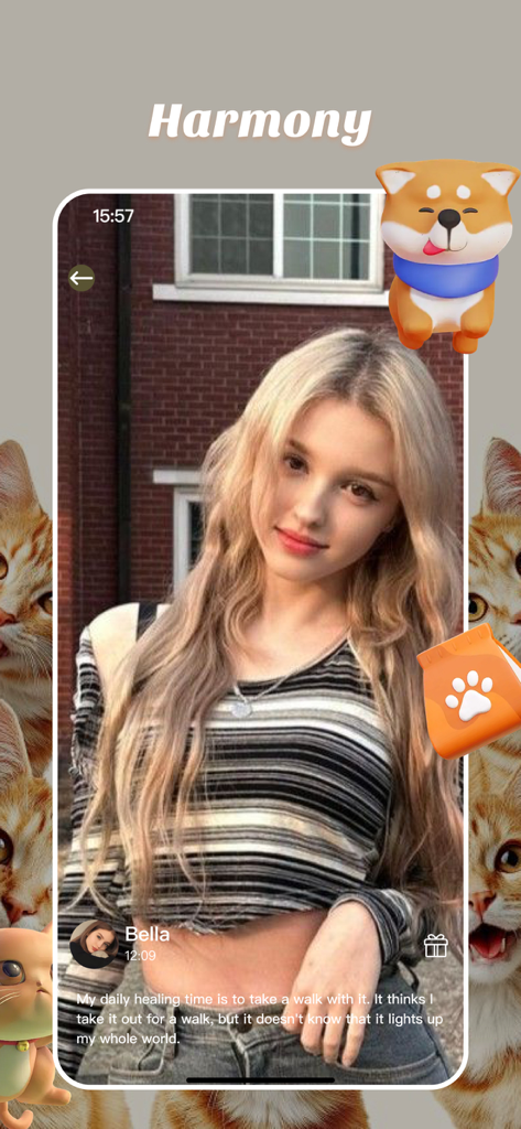Écran de l'application mobile intitulé Harmonie présentant une publication d'utilisateur sur la compagnie des animaux avec des icônes décoratives de chiens et de nourriture