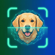 Dog Breed Identifier | Scanner