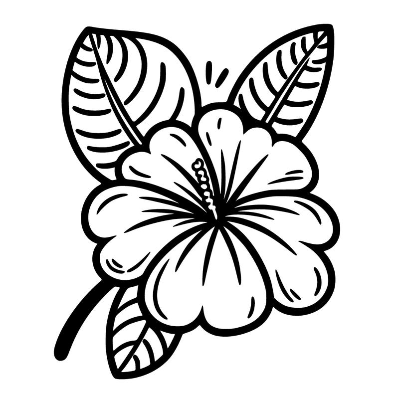 a-flower from hawaii