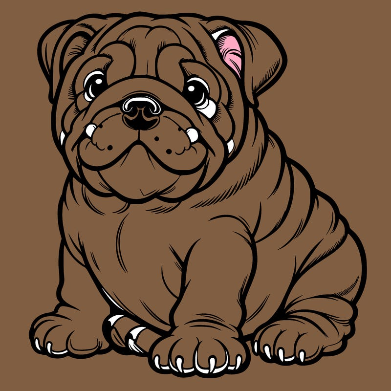 english bulldog breed