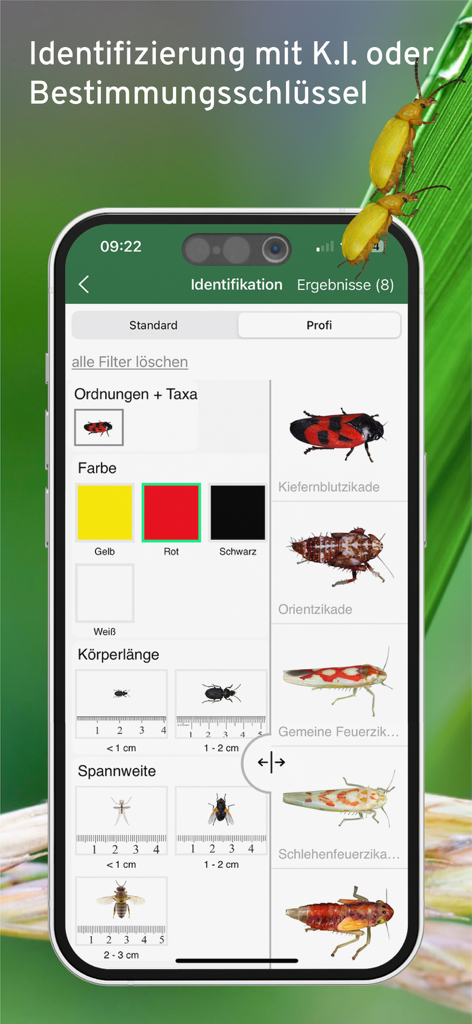 Smartphone screen showing manual identification filters and insect species results in the Insect Guide Pro Natura app