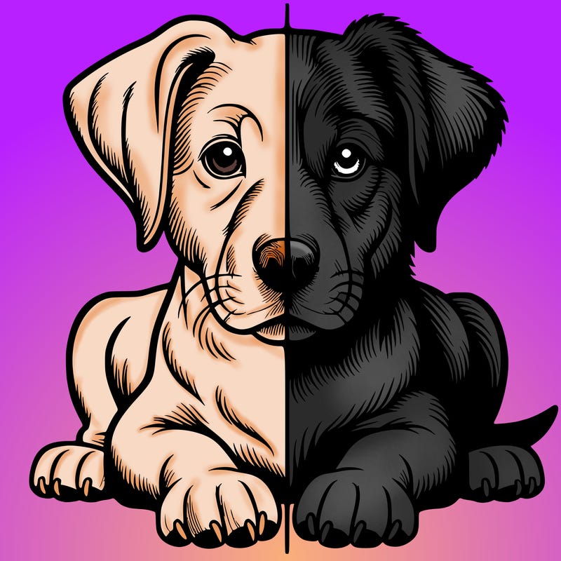 realistic dog split picture