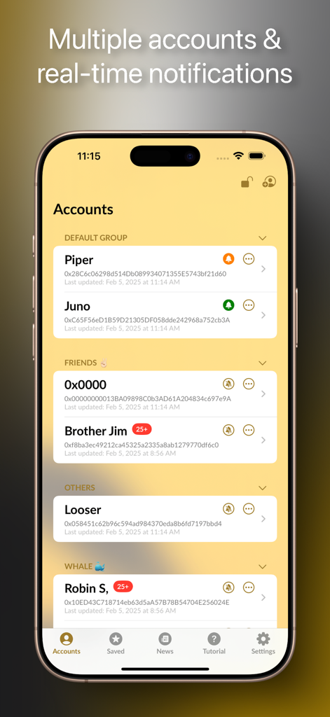 Binance Smart Chain Explorer app interface showing multiple tracked wallet accounts with aliases and notification settings