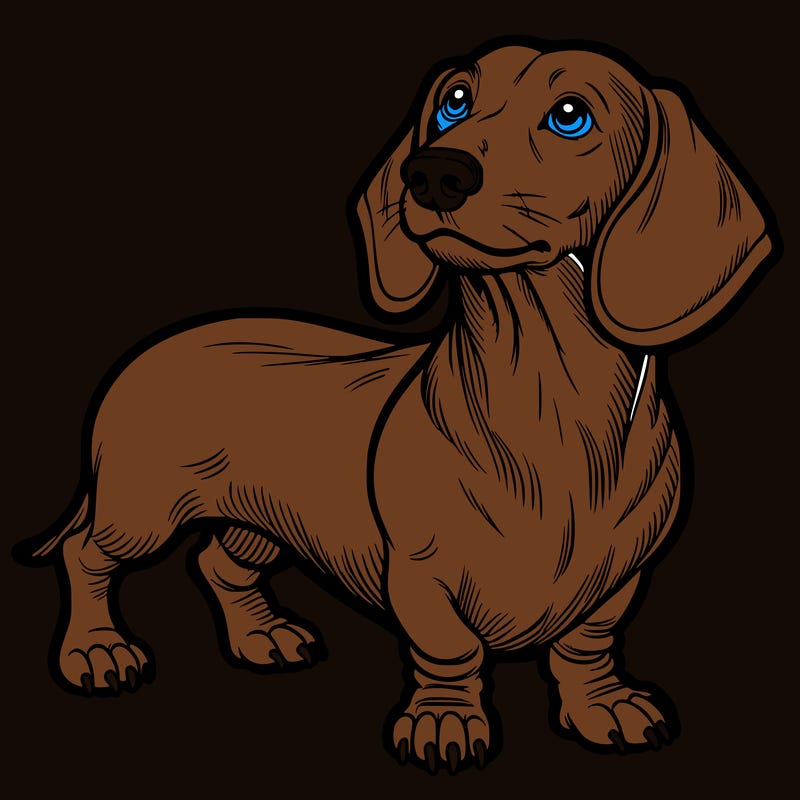 dachshund