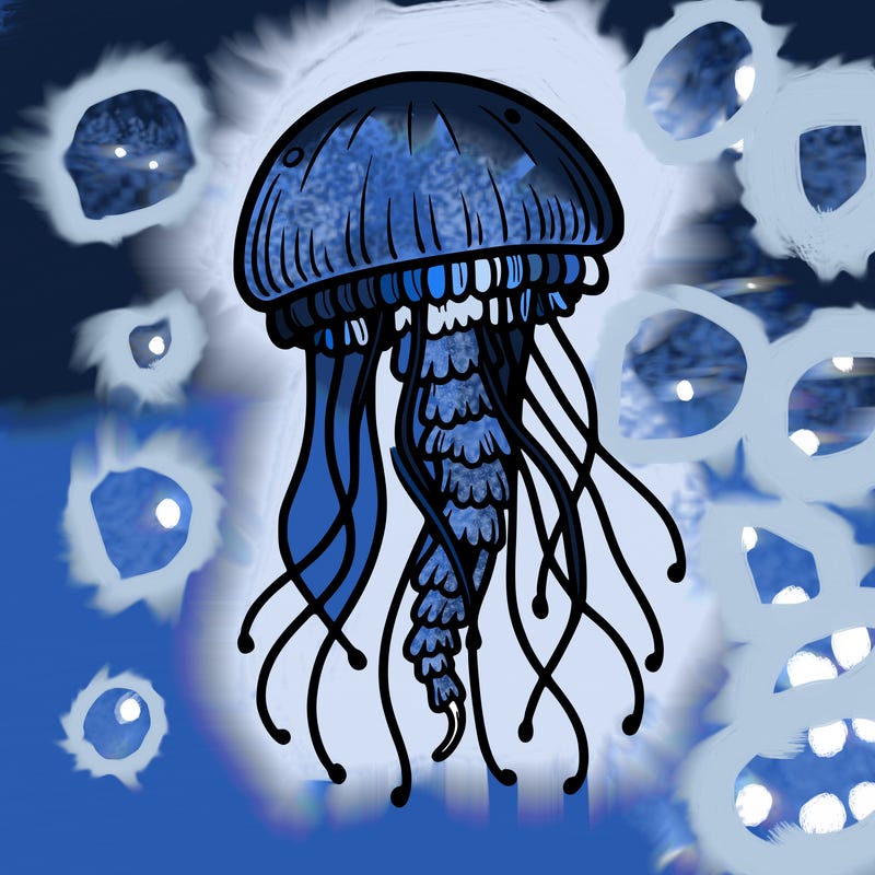 jellyfish