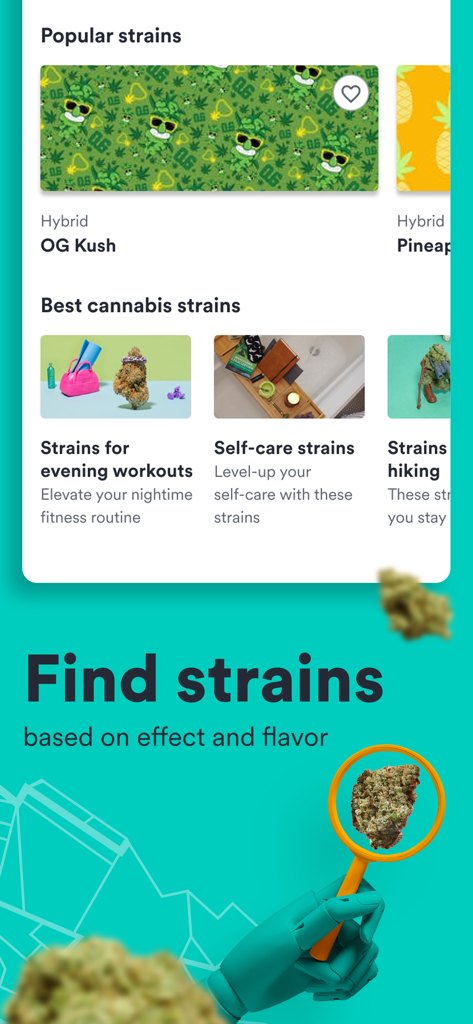 Weedmaps: Buy Local Weed - Weedmaps app interface displaying popular cannabis strains and categorized collections for wellness and activities like self care and workouts.