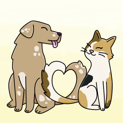 animals_22