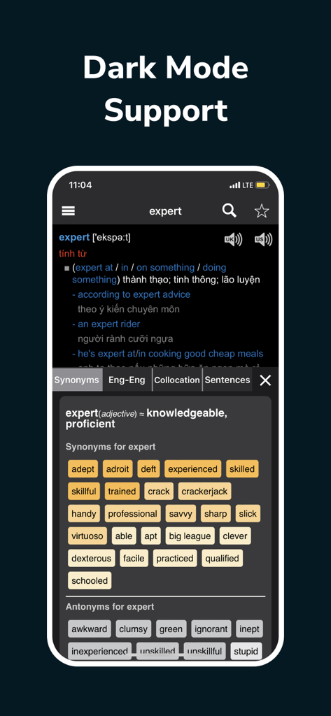 English Dictionary ProDict - English Dictionary ProDict interface in dark mode displaying synonyms and antonyms for the word expert.