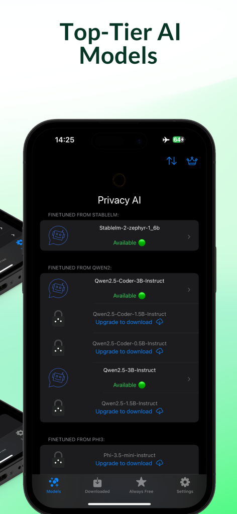 Privacy AI app interface showing a list of available local large language models for offline processing