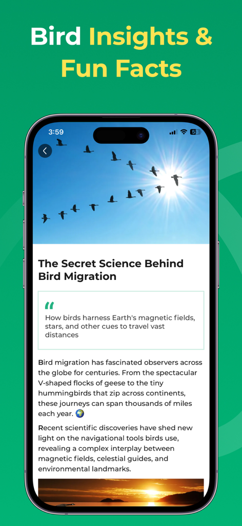 BirdScope: Bird Identifier - 鳥の渡りの科学に関する記事を特集した「Bird Insights and Fun Facts」というタイトルのモバイルアプリ画面。