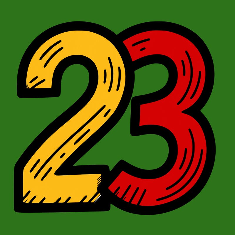 23