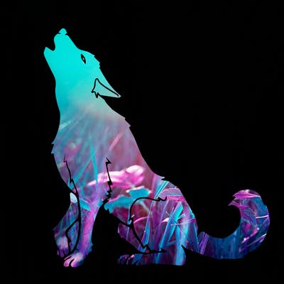animals_36