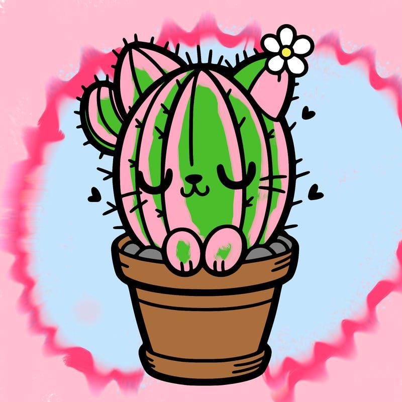 cactus cat