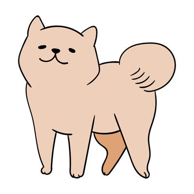 animals_29