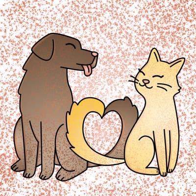 animals_22