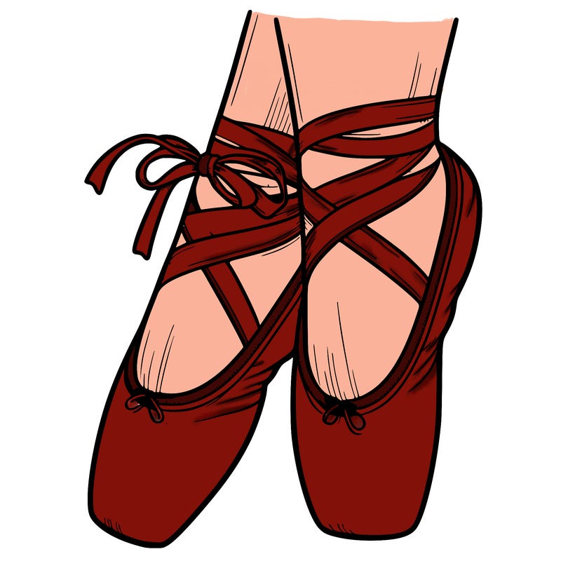 beautiful ballet point shoes