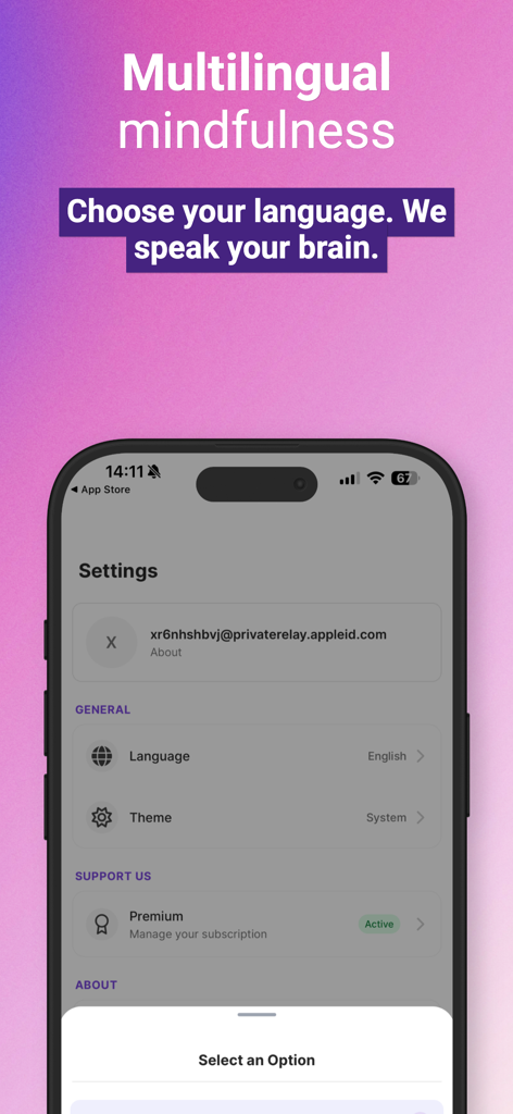 JournAI: AI Mood Journal - Settings screen of the JournAI app showing language selection and premium account status.