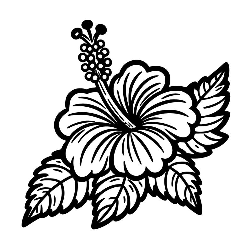 hibiscus flower