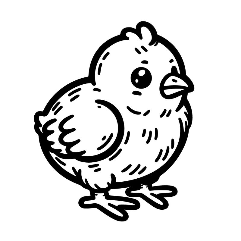 chick