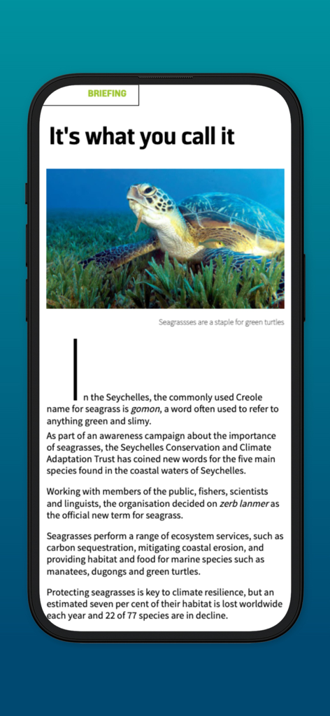DIVE Magazine app displaying a mobile-optimized article about seagrass conservation in the Seychelles with a photo of a green sea turtle.