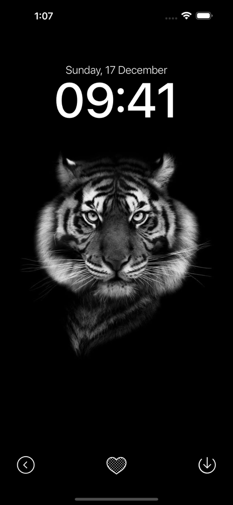 Black Wallpaper App - Black and white tiger head wallpaper on a minimalist iPhone lock screen