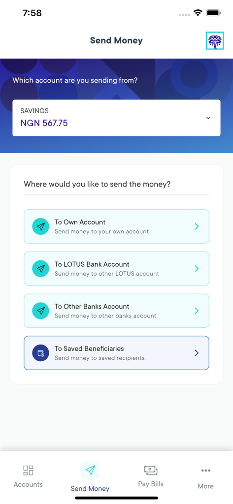 Lotus Bank App - Lotus Bank mobile app send money screen with options for local and international transfers
