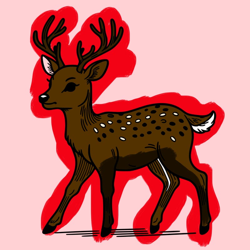 deer