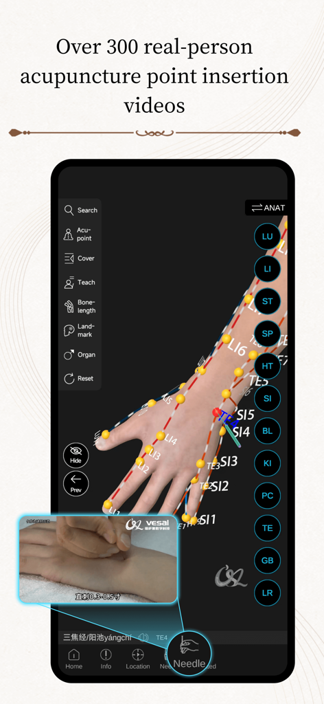 Acupuncture Master - Interfaz de la aplicación Acupuntura Master que muestra puntos de acupuntura en la mano en 3D y un video de inserción de aguja