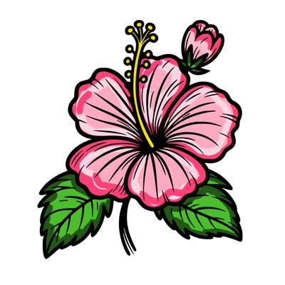 hibiscus flower
