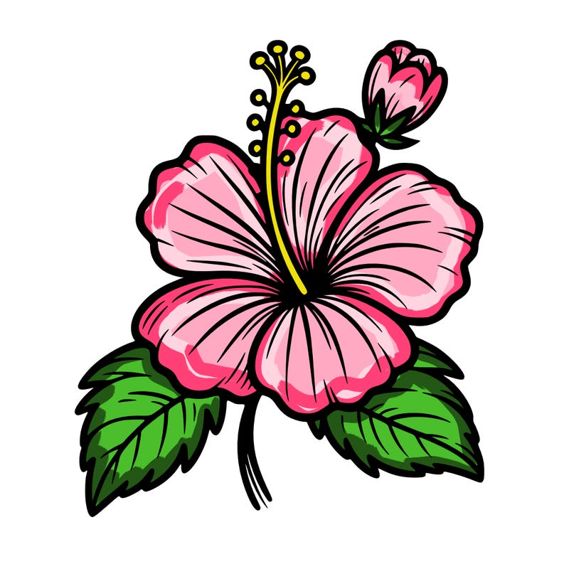 hibiscus flower