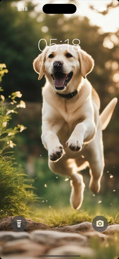 Un felice cucciolo di golden retriever che salta in un campo soleggiato sulla schermata di blocco del telefono