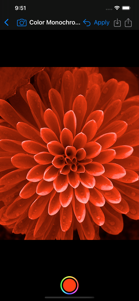 Uma foto em close-up de uma flor com um filtro vermelho monocromático aplicado na interface do aplicativo Image Filters