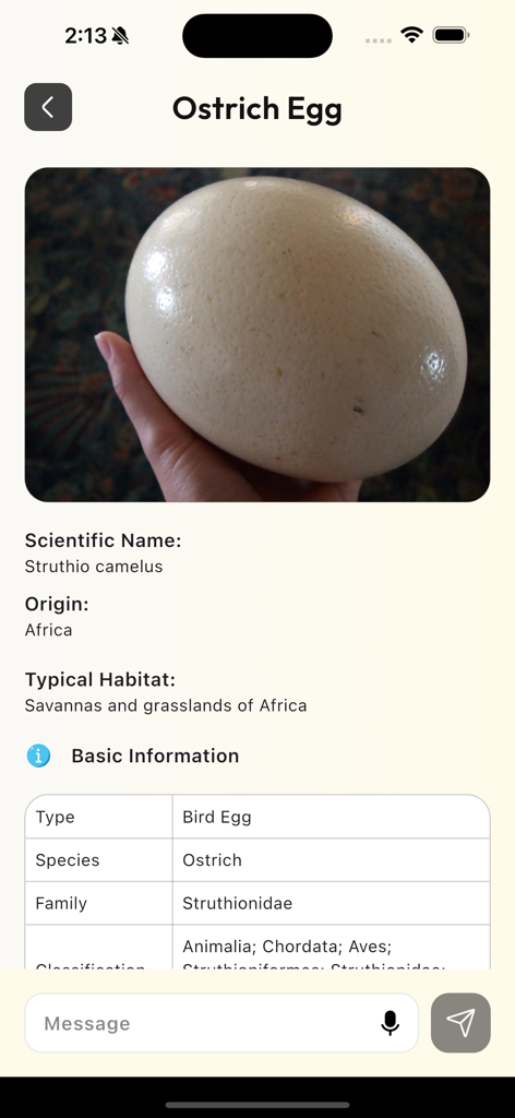 AI Bird Egg Identifier - Ein mobiler App-Bildschirm, der die Identifizierungsergebnisse für ein Straußenei anzeigt, einschließlich seines wissenschaftlichen Namens und seiner Lebensraumdetails.