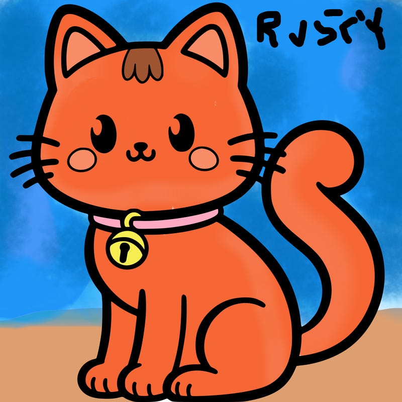 a cat that has a collar with a bell on it