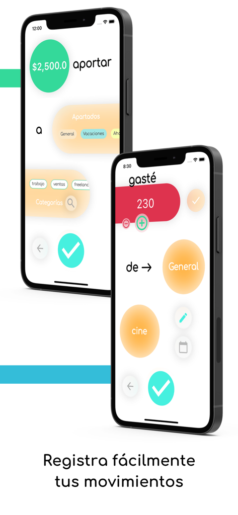 Minimalist interface of the Simple Wallet App on two iPhone screens showing easy expense and income tracking