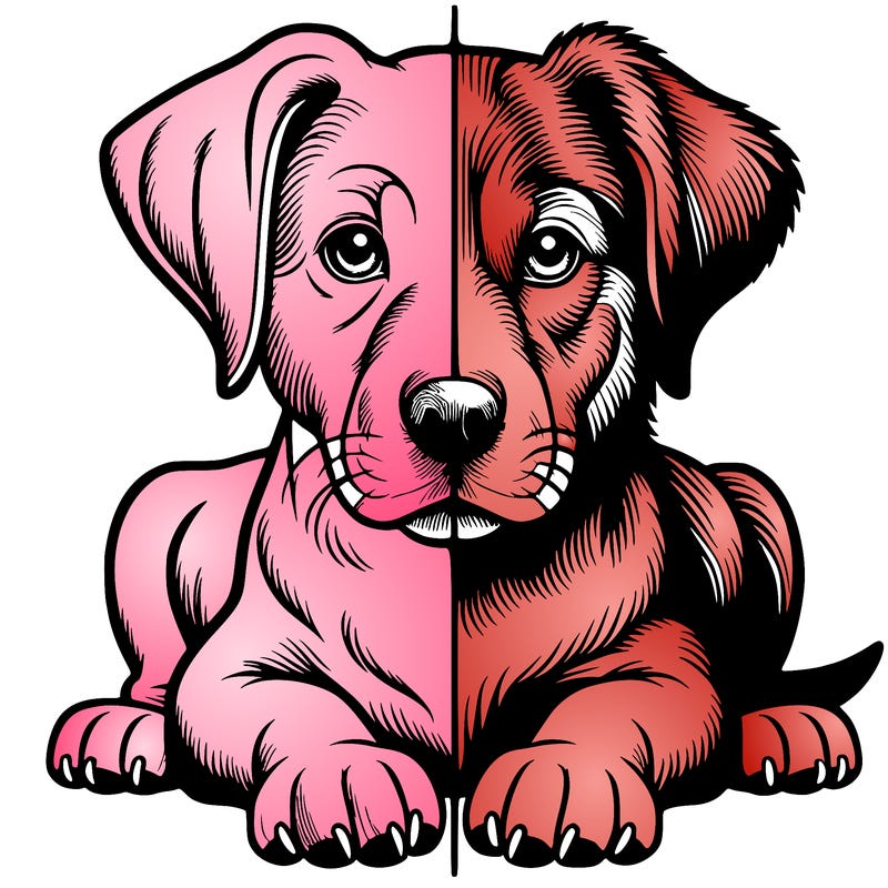 realistic dog split picture