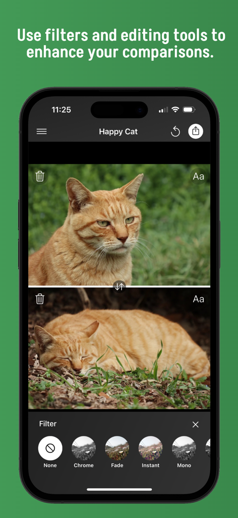 iPhone screenshot of a photo comparison app showing two pictures of a cat with a filter selection menu