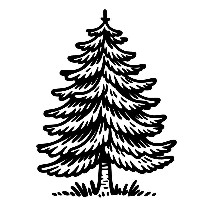 fir tree silhouette
