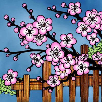 japan cherry blossom