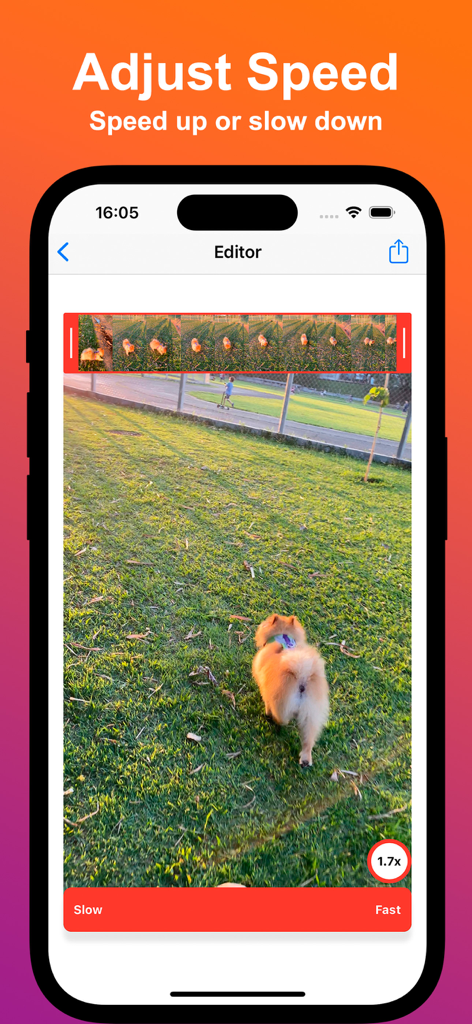 Reverse Video app editor showing speed adjustment settings for a video of a dog
