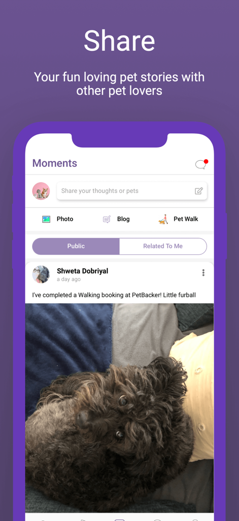 PetBacker: Dog Cat Pet Sitting - ペットオーナーのストーリーと犬の写真が表示されたPetBackerモバイルアプリのソーシャルフィード