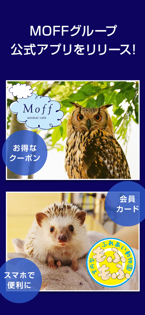 MOFF公式アプリ - Banner promocional de la aplicación oficial MOFF con un búho y un erizo