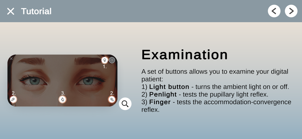 Pupil Wizard - Pantalla de tutorial de Pupil Wizard que explica las herramientas de examen digital del paciente, incluyendo la linterna y las pruebas con los dedos.