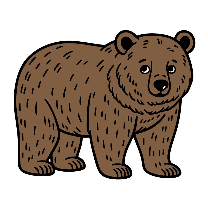 🐻
