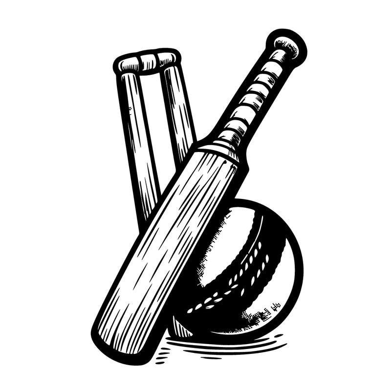 cricket ball and bat