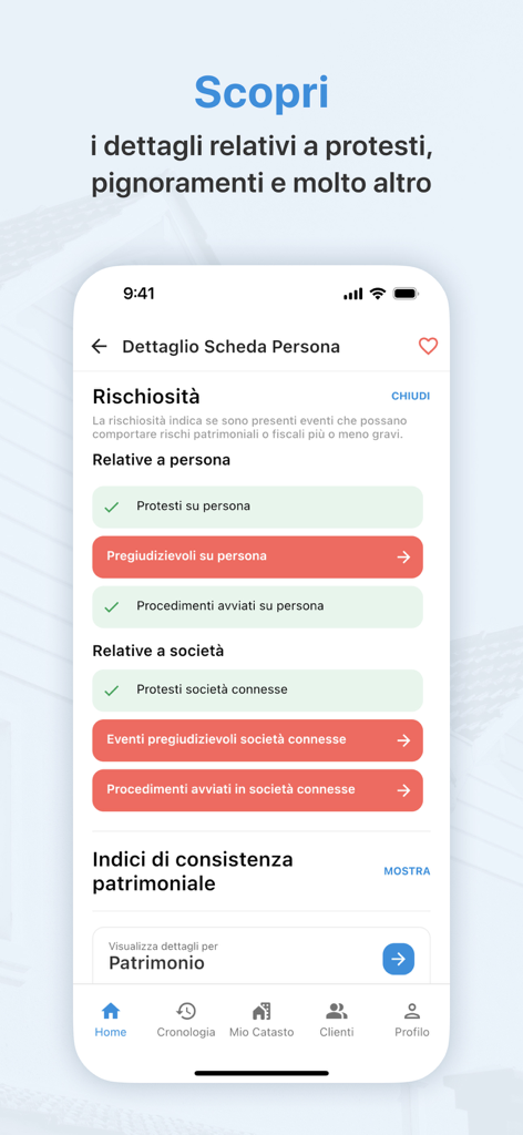 A screenshot of the Whuis app showing a person's risk analysis with legal and financial check results