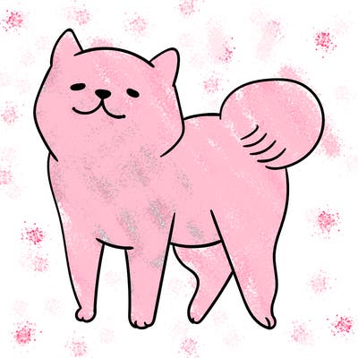 animals_29