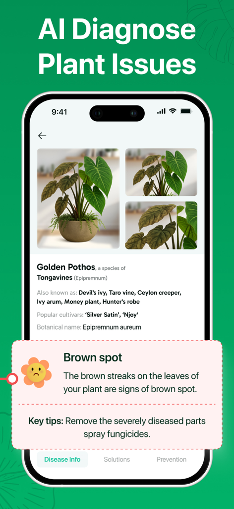 Plant ID - AI Identify Plants - Interfaz de diagnóstico de salud de plantas impulsada por IA que muestra la detección de manchas marrones y consejos de cuidado para un Potos Dorado