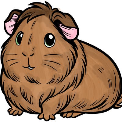 guinea pig